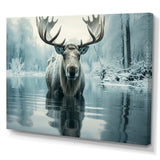 Blue Moose Arctic Reflection - Moose Canvas Wall Art