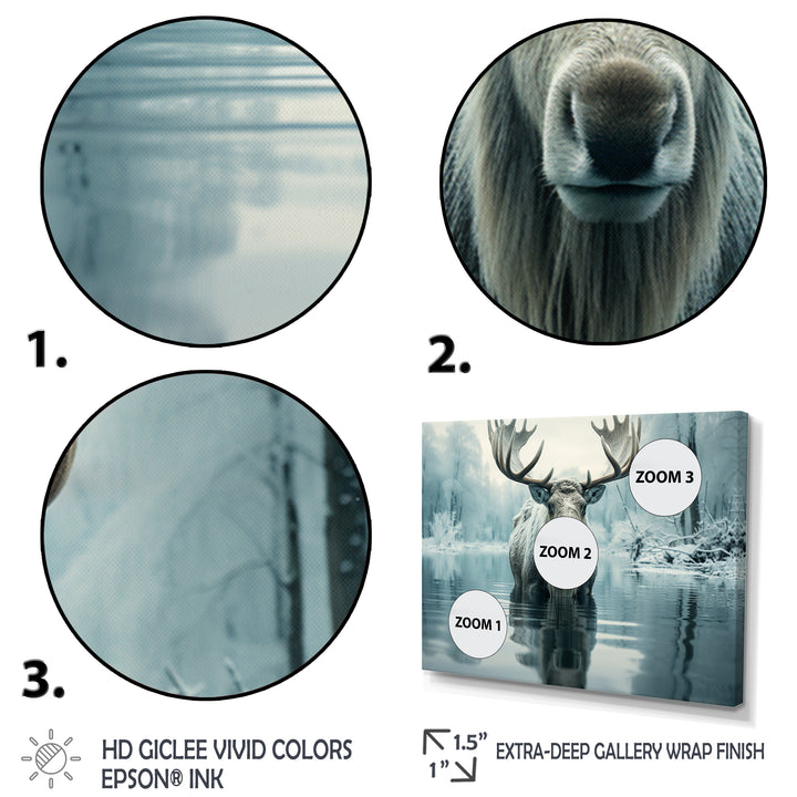 Blue Moose Arctic Reflection - Moose Canvas Wall Art