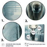 Blue Moose Arctic Reflection - Moose Canvas Wall Art