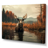 Brown Orange Moose Autumn Palette - Animals Canvas Wall Art