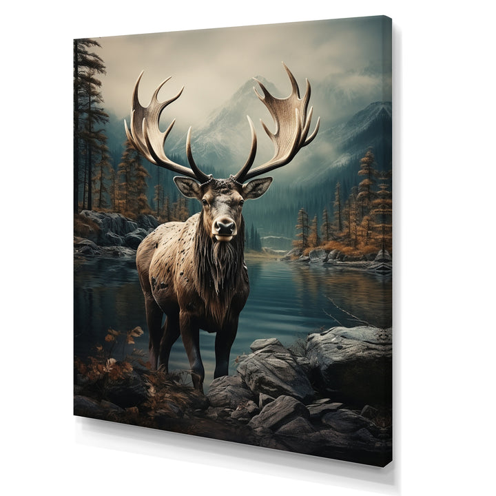 Grey Moose Coastal Wanderer - Moose Wall Art Prints