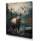 Grey Moose Coastal Wanderer - Moose Wall Art Prints