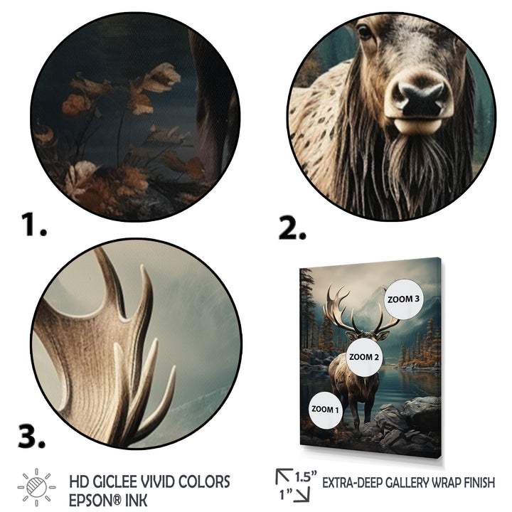 Grey Moose Coastal Wanderer - Moose Wall Art Prints