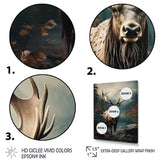 Grey Moose Coastal Wanderer - Moose Wall Art Prints