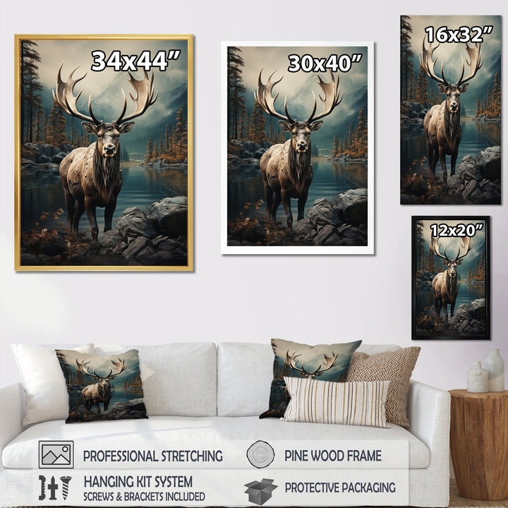 Grey Moose Coastal Wanderer - Moose Wall Art Prints