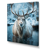 Moose Frozen Majesty - Moose Large Canvas Wall Art