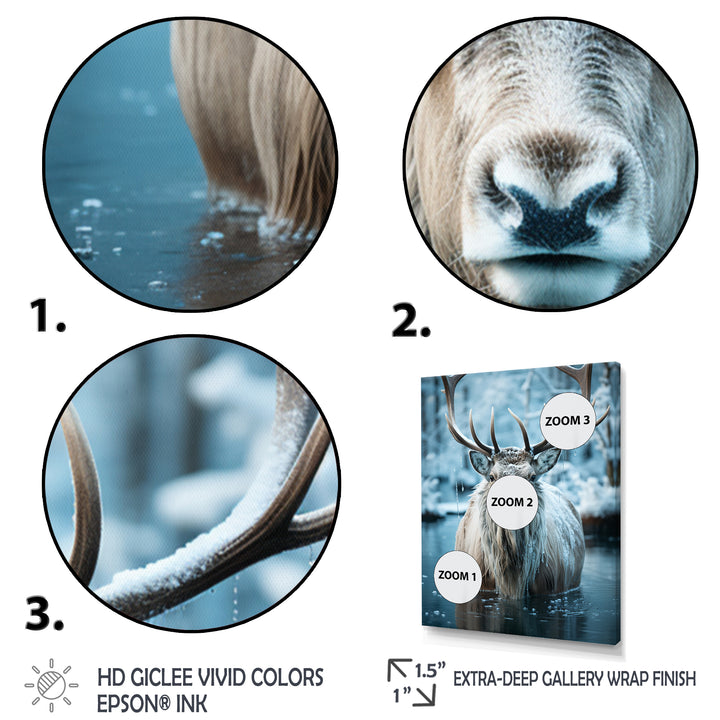 Moose Frozen Majesty - Moose Large Canvas Wall Art