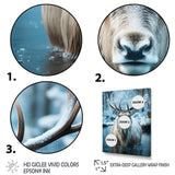 Moose Frozen Majesty - Moose Large Canvas Wall Art