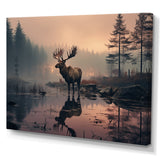 Brown Peach Moose Misty Morning - Moose Wall Art Prints
