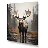 Brown Moose Monochrome Sands - Moose Wall Art Prints