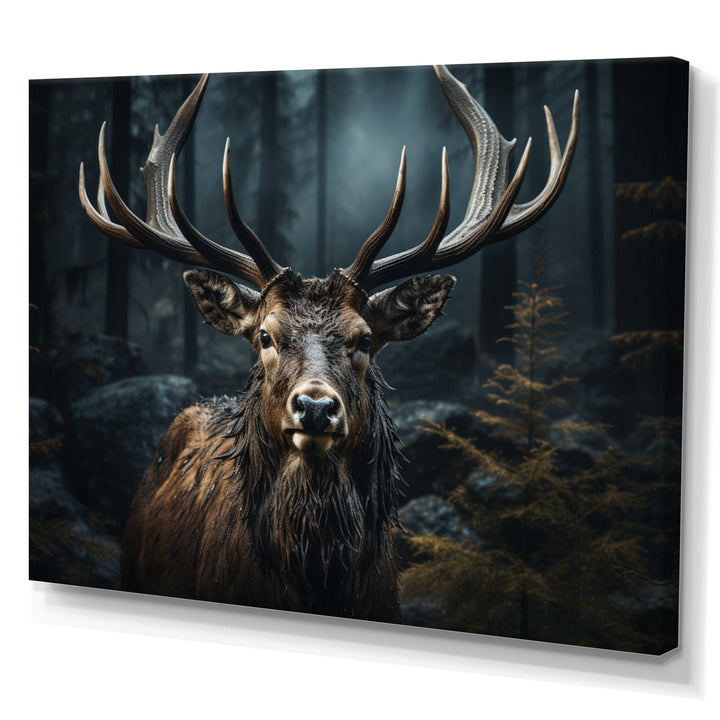 Black White Moose Portrait - Black Moose Wall Art
