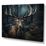Black White Moose Portrait - Black Moose Wall Art