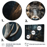 Black White Moose Portrait - Black Moose Wall Art