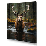 Brown Green Moose Portrait Vibrant - Moose Framed Canvas Art