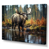 Brown Yellow Moose Canada - Moose Canvas Wall Art