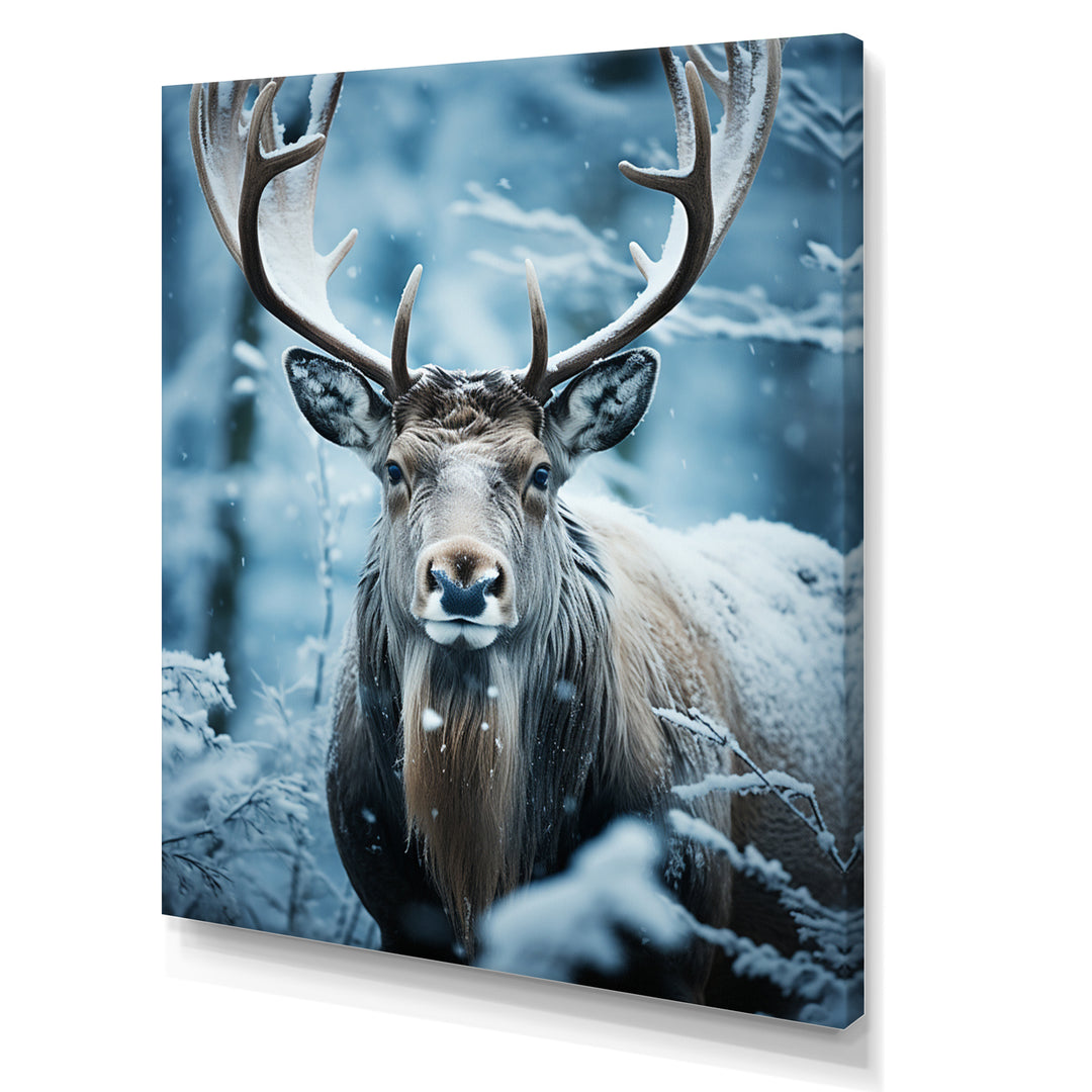 Blue White Moose Winter Frost - Moose Wall Decor