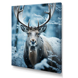 Blue White Moose Winter Frost - Moose Wall Decor