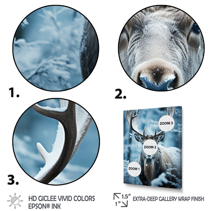 Blue White Moose Winter Frost - Moose Wall Decor