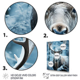 Blue White Moose Winter Frost - Moose Wall Decor