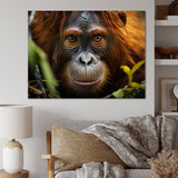 Orangutan Photo Portrait - Orangutan Living Room Wall Art