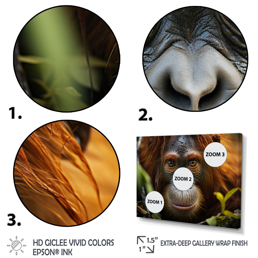 Orangutan Photo Portrait - Orangutan Living Room Wall Art
