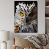 Grey Owl Animal Monochrome National - Owl Wall Decor