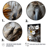 Grey Owl Animal Monochrome National - Owl Wall Decor