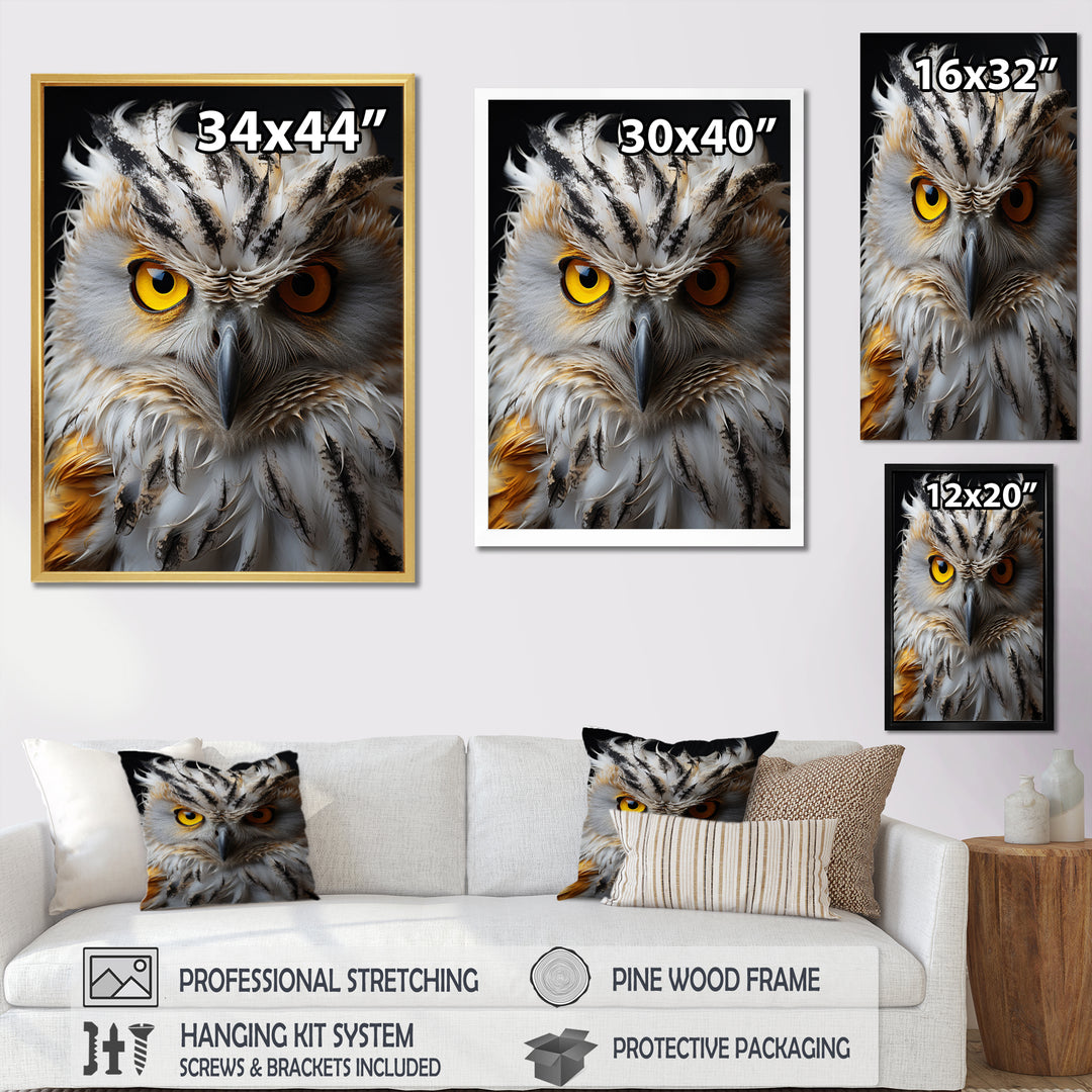 Grey Owl Animal Monochrome National - Owl Wall Decor