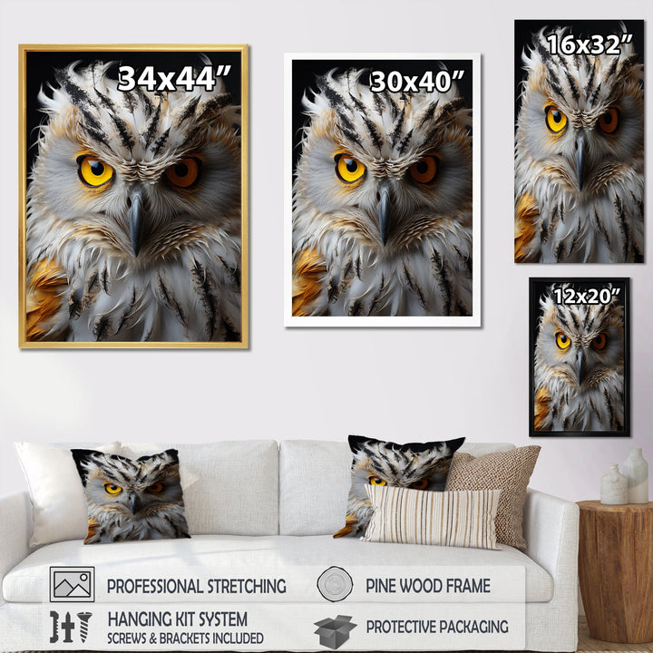Grey Owl Animal Monochrome National - Owl Wall Decor