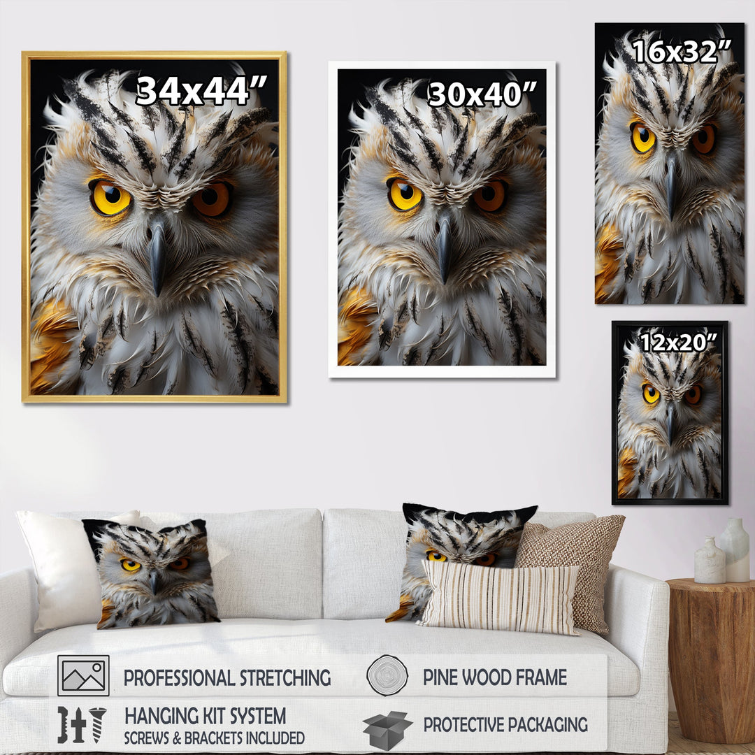 Grey Owl Animal Monochrome National - Owl Wall Decor