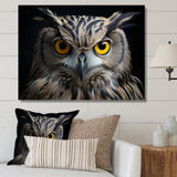 Black White Owl Portrait - Owl Living Room Wall Art