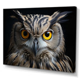 Black White Owl Portrait - Owl Living Room Wall Art