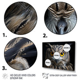 Black White Owl Portrait - Owl Living Room Wall Art