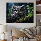Grey Owl Portrait - Owl Bedroom Wall Art