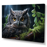 Grey Owl Portrait - Owl Bedroom Wall Art