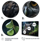 Grey Owl Portrait - Owl Bedroom Wall Art