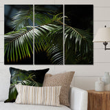 Palm Trees Symphony I - Multi-Panels