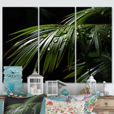 Palm Trees Symphony II - Multi-Panels