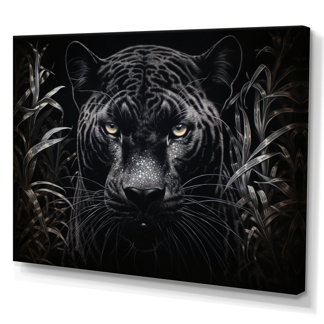Black White Panther Nocturnal Majesty Scratchboard - Panther Wall Art Prints