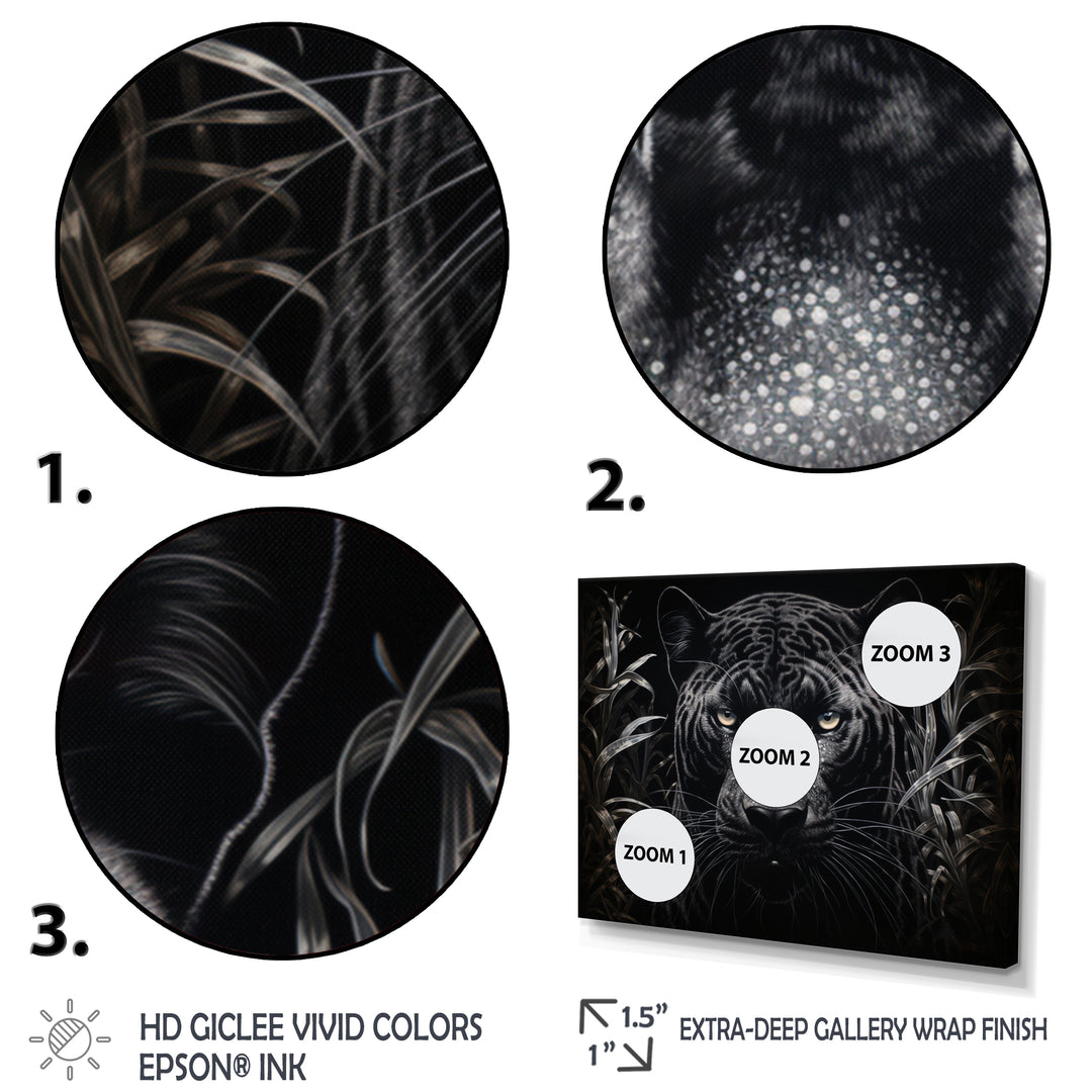 Black White Panther Nocturnal Majesty Scratchboard - Panther Wall Art Prints