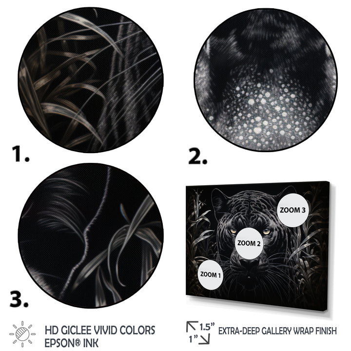 Black White Panther Nocturnal Majesty Scratchboard - Panther Wall Art Prints