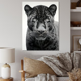 Grey White Panther Realistic Gaze - Panther Framed Canvas Art