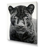 Grey White Panther Realistic Gaze - Panther Framed Canvas Art