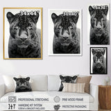 Grey White Panther Realistic Gaze - Panther Framed Canvas Art