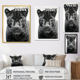 Grey White Panther Realistic Gaze - Panther Framed Canvas Art