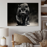 Black White Panther Shadows Grace Charcoal - Panther Living Room Wall Art