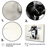 Grey White Panther Silent Stalker Ink - Panther Wall Decor