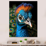 Peacock Animal Portrait - Peacock Canvas Wall Art