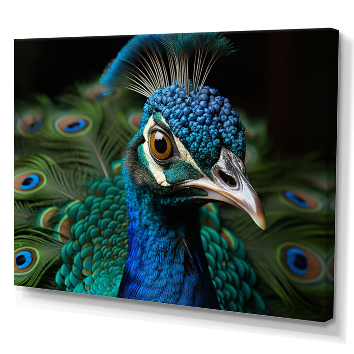 Teal Green Peacock Portrait - Peacock Wall Decor