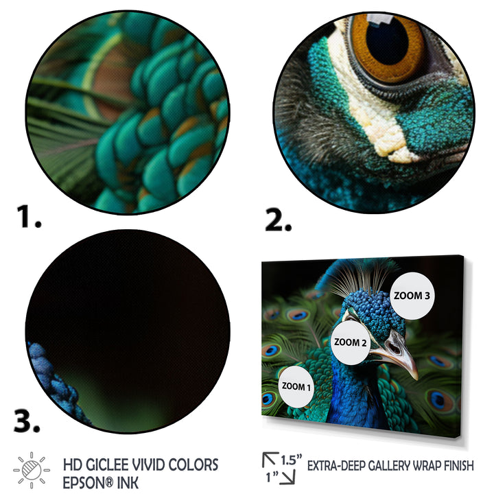 Teal Green Peacock Portrait - Peacock Wall Decor
